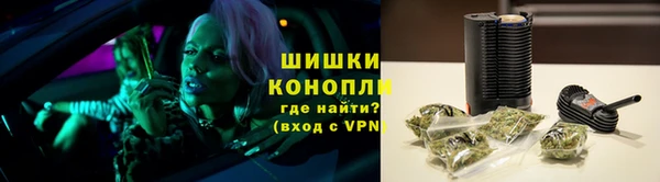 прущие грибы Арсеньев