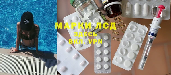прущие грибы Арсеньев