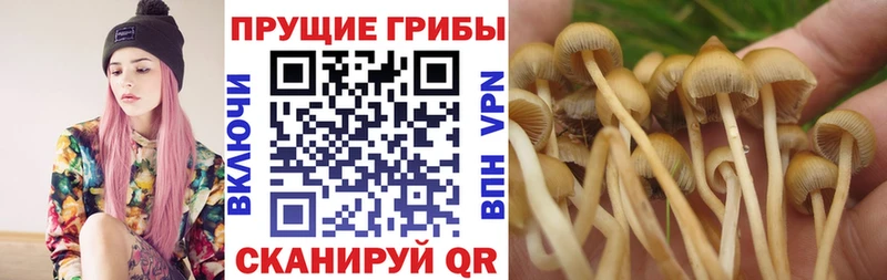 Псилоцибиновые грибы Psilocybe  МЕГА рабочий сайт  Узловая 